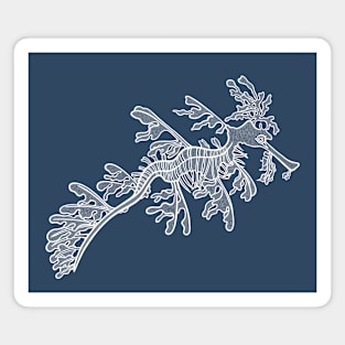 Leafy Sedragon Ink Art - detailed marine animal design Magnet